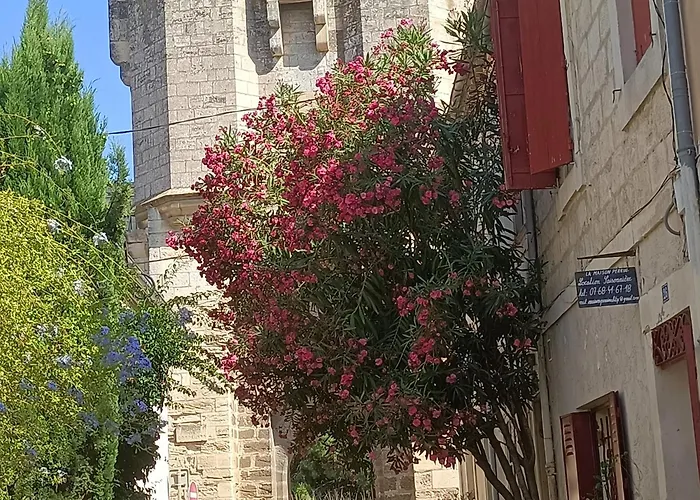 La Maison Perrin Aigues-Mortes